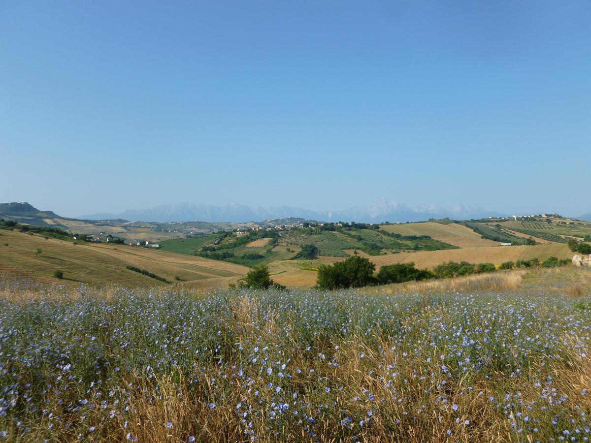 Il Frutteto Bed And Breakfast Ripattone 外观 照片