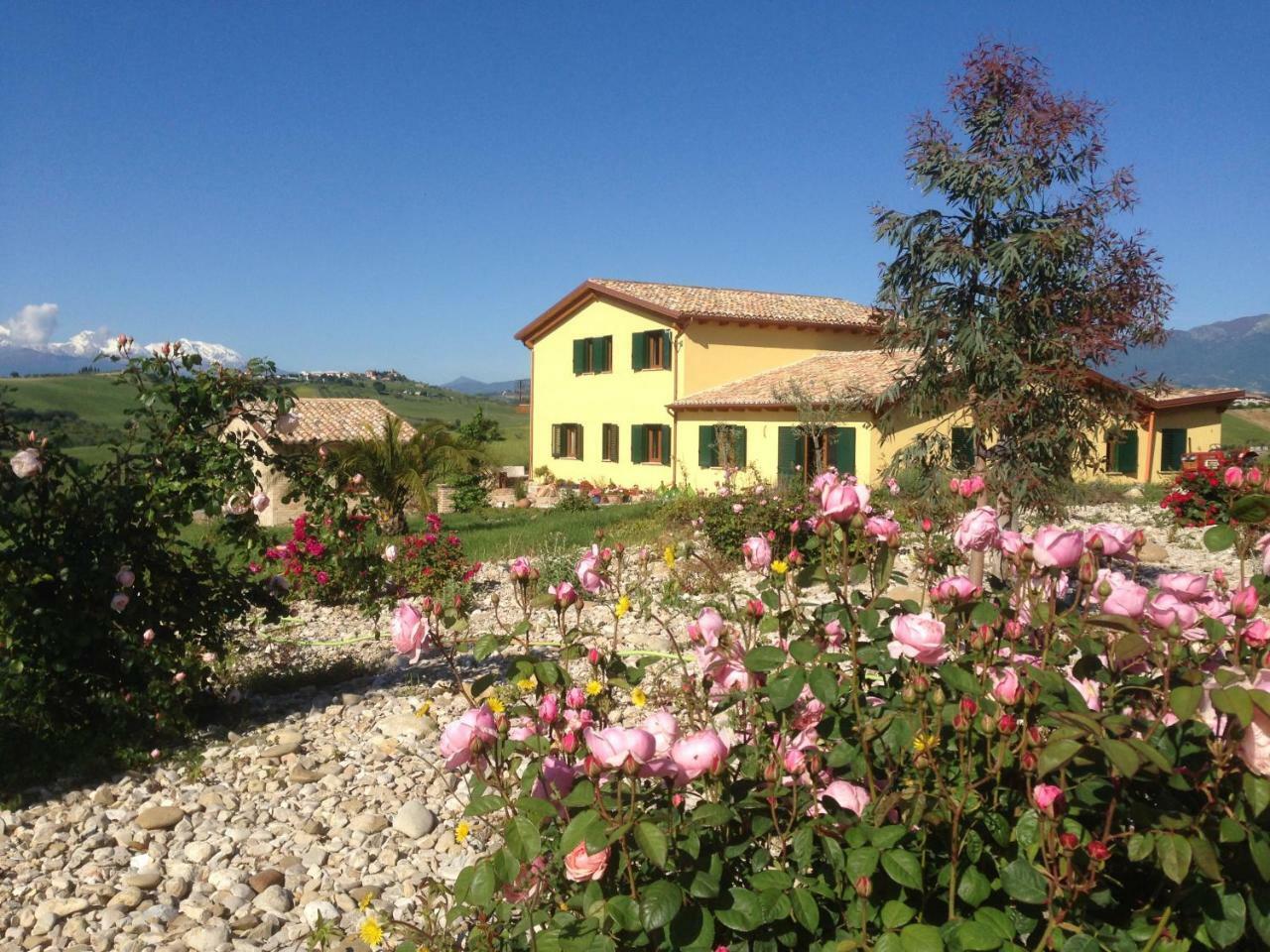 Il Frutteto Bed And Breakfast Ripattone 外观 照片