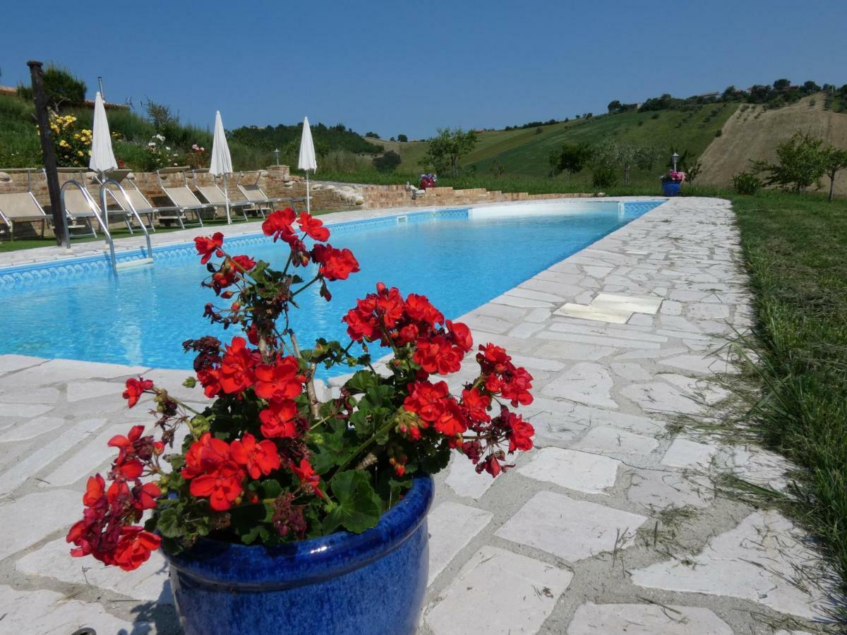 Il Frutteto Bed And Breakfast Ripattone 外观 照片